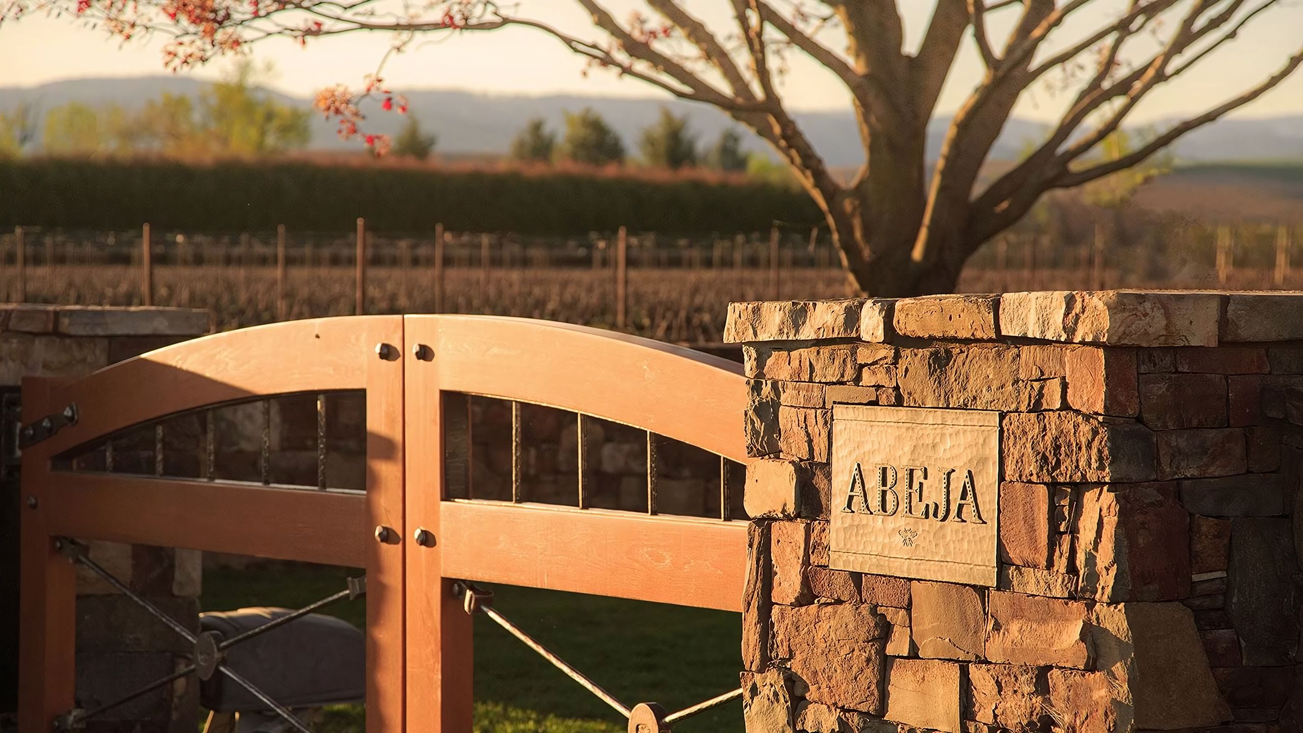 Iron gates at the entrance to Abeja winery